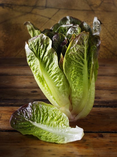 Red-leaved Cos lettuce