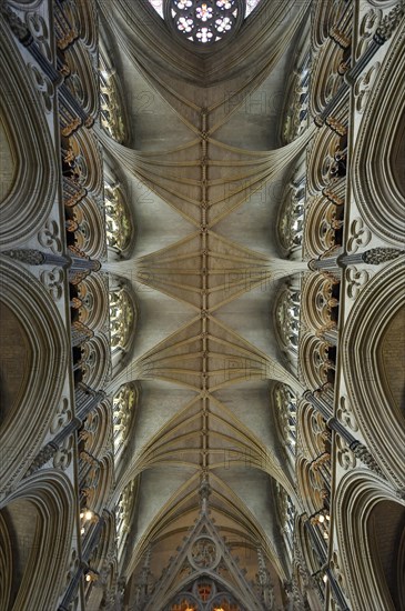 York Minster