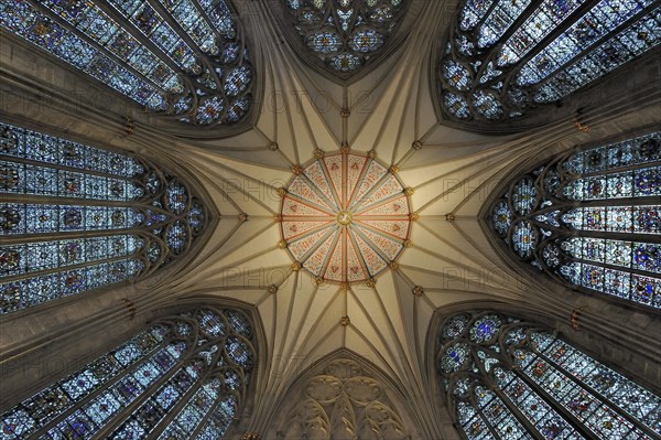 Ceiling in the Chapter House