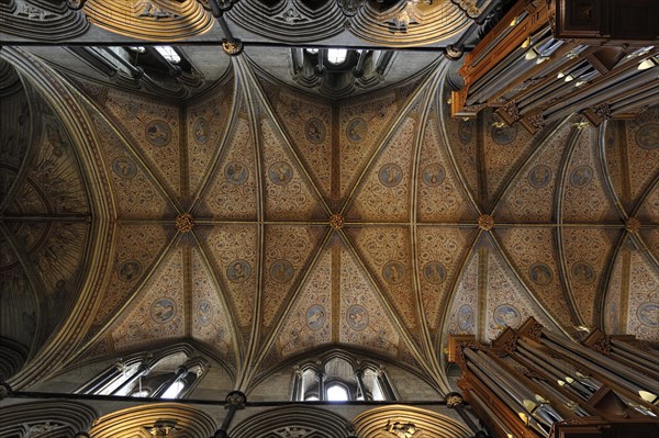 Worcester Cathedral