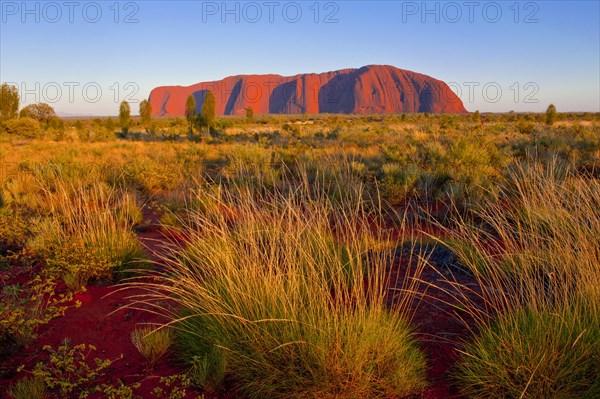 Uluru