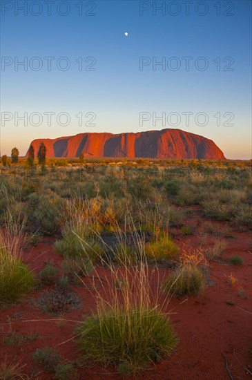 Uluru