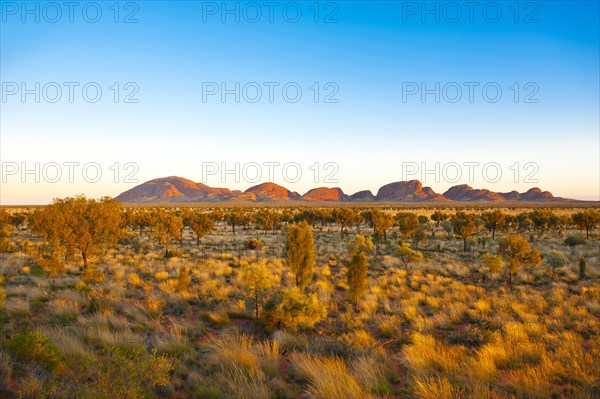 Kata Tjuta