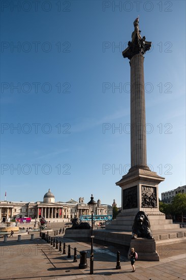 Nelson's Column