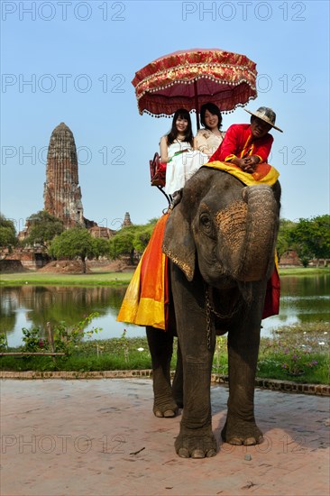 Tourists riding on an elephant