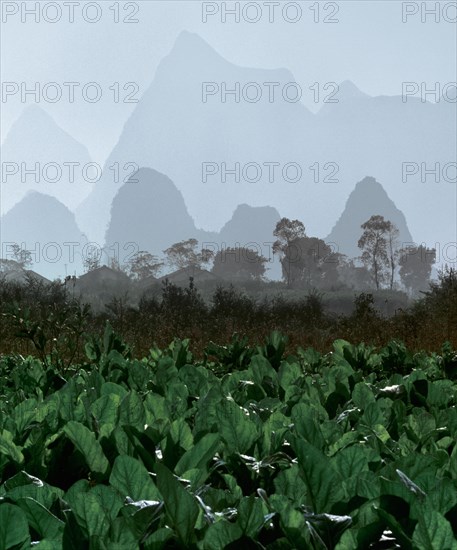 Karst mountain landscape and agriculture near Yangshuo