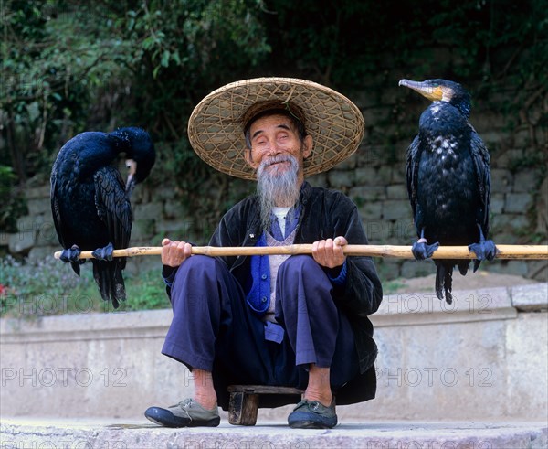 Cormorant fisherman with Great Cormorants (Phalacrocorax carbo) on the Li Jiang River