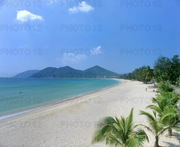 Palms on Dadonghai Beach