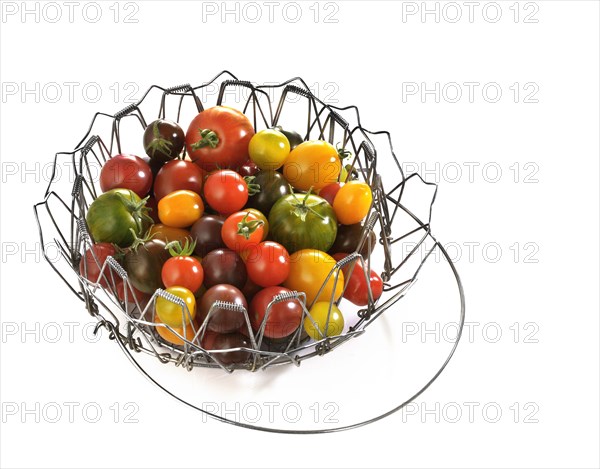 Various wild tomatoes in a wire basket