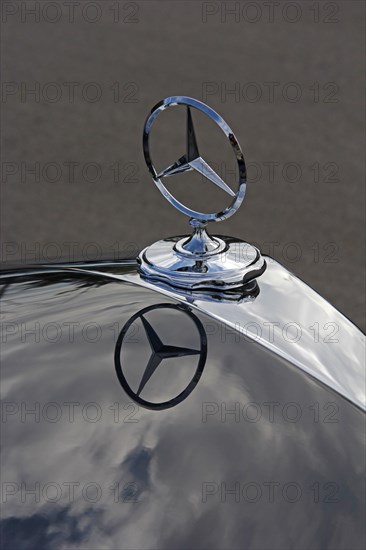 Mercedes star