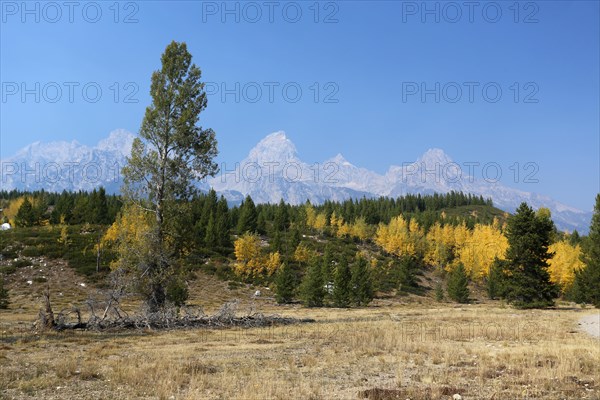 Grand Teton mountain range from the trail to Taggart Lake