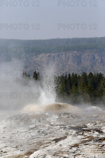 Geyser erupting at the Lion Formation