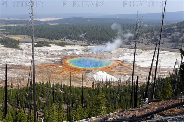 Grand Prismatic Spring