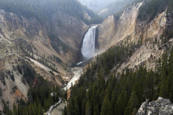 Lower Falls at the Grand Canyon of the Yellowstone