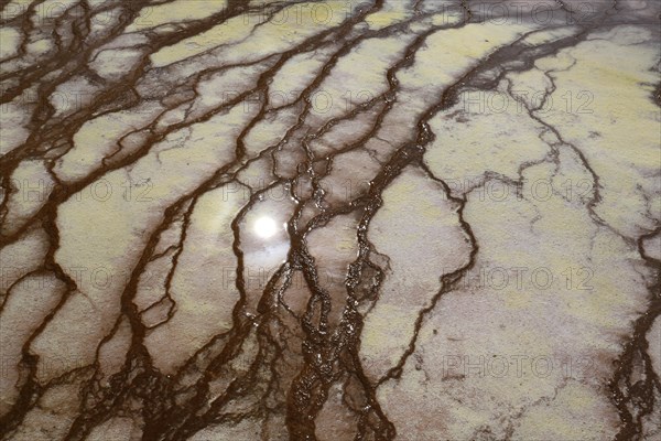 Sinter terraces at the Grand Prismatic Spring