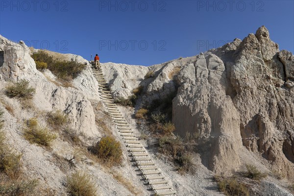 Man climbing a ladder in the Badlands