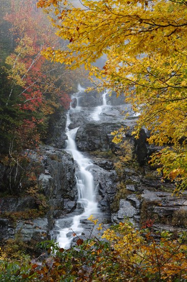 Silver Cascade