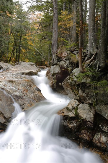 Basin Falls