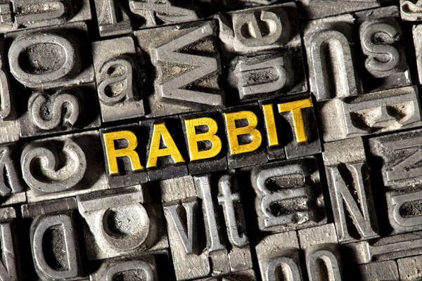 Old lead letters forming the word 'Rabbit'