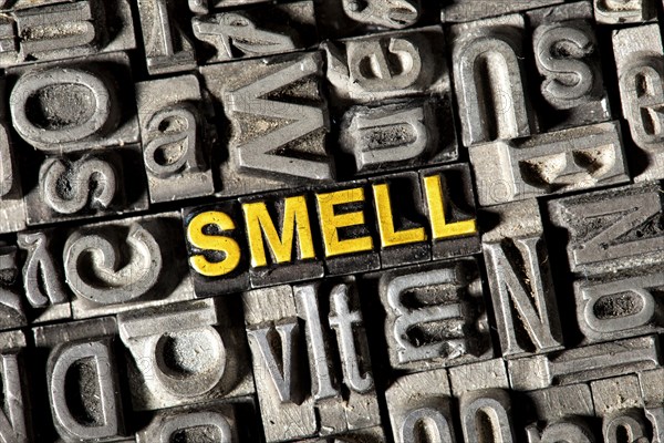 Old lead letters forming the word 'SMELL'