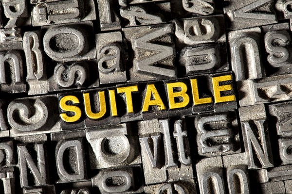 Old lead letters forming the word 'SUITABLE'
