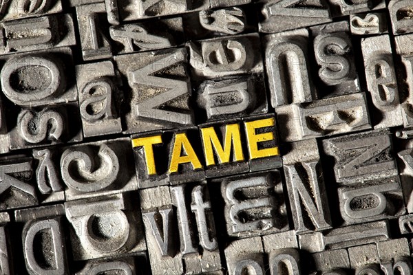 Old lead letters forming the word "TAME"