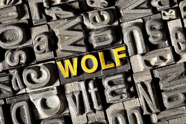 Old lead letters forming the word 'wolf'