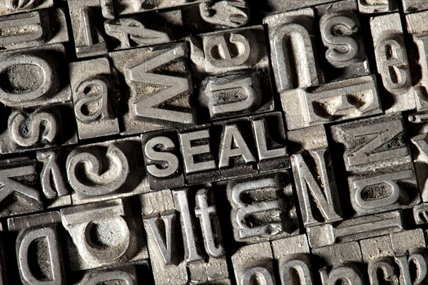 Old lead letters forming the word SEAL