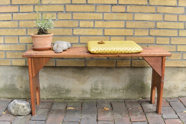 Bench seat with a cushion and a flower pot