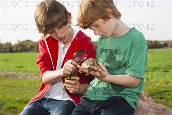 Two boys examining a turtle with a magnifying glass