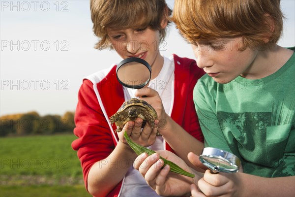 Two boys examining a turtle with a magnifying glass