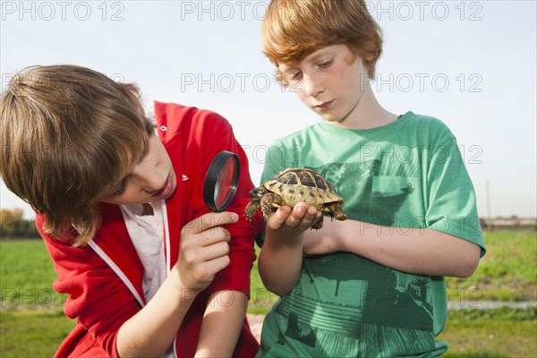 Two boys examining a turtle with a magnifying glass