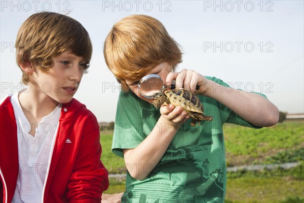 Two boys examining a turtle with a magnifying glass