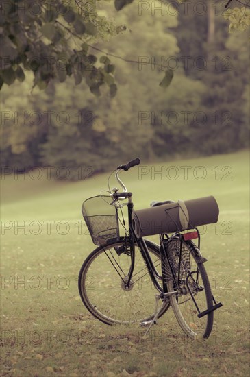 Bicycle in a park