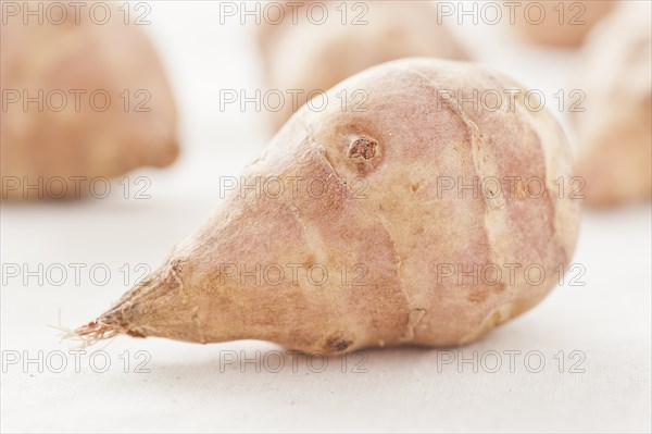 Raw Jerusalem artichokes (Helianthus tuberosus)