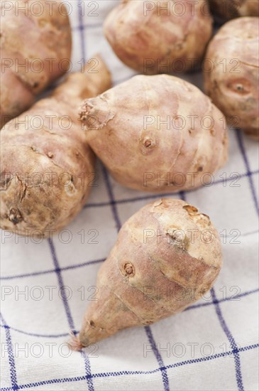 Raw Jerusalem artichokes (Helianthus tuberosus)