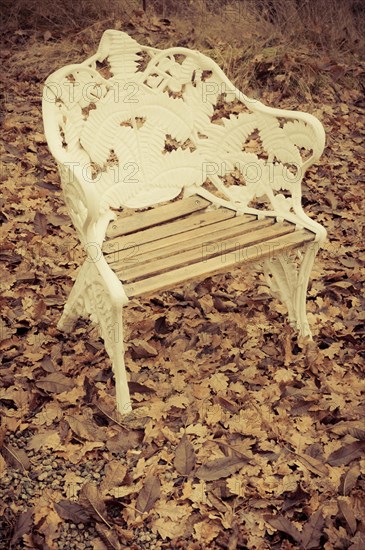 Empty chair in an autumnal garden