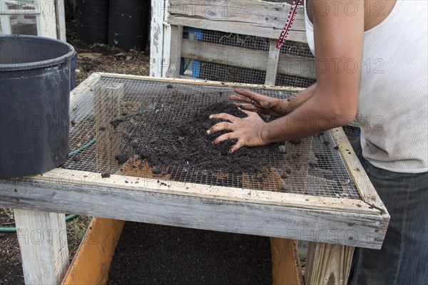 Screening compost at Our School at Blair Grocery