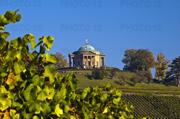 Vineyard with Lemberger grapes on Rotenberg Mountain with Wuerttemberg Mausoleum near Stuttgart