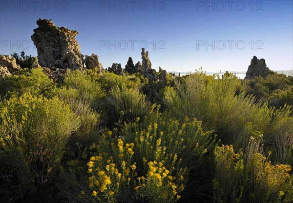 Tufa Rocks