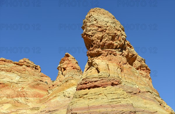 Brain Rocks of the Coyote Buttes South CBS