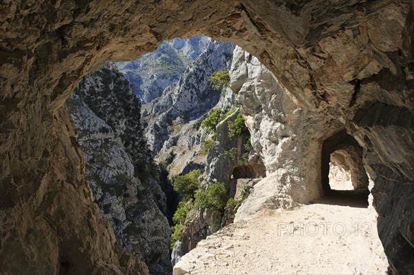 Hiking trail in Rio Cares Gorge