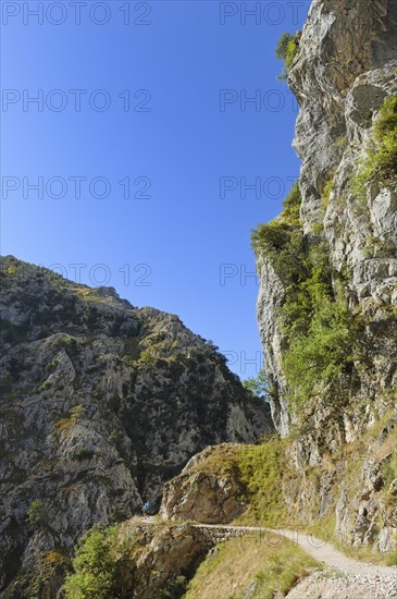 Rio Cares Gorge