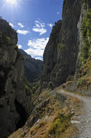 Rio Cares Gorge