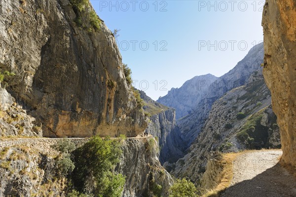 Rio Cares Gorge