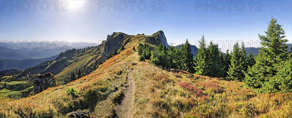 Panorama at the Brauneck trail with the Vorderer Kirchstein