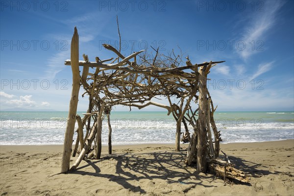 Driftwood construction