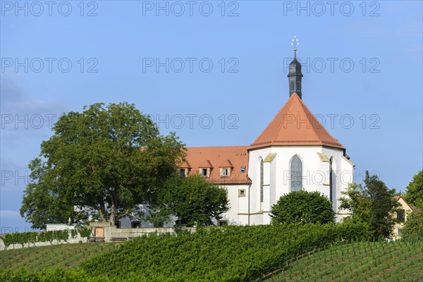 Vineyard with Vogelsburg with church Maria Schutz