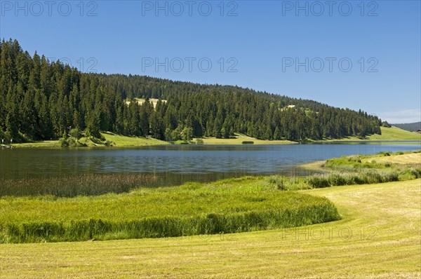 Lake Tailleres