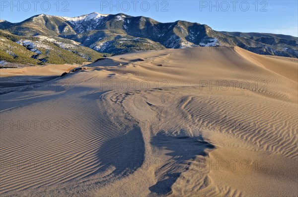 Dune landscape in front of the Sangre de Cristo Mountains